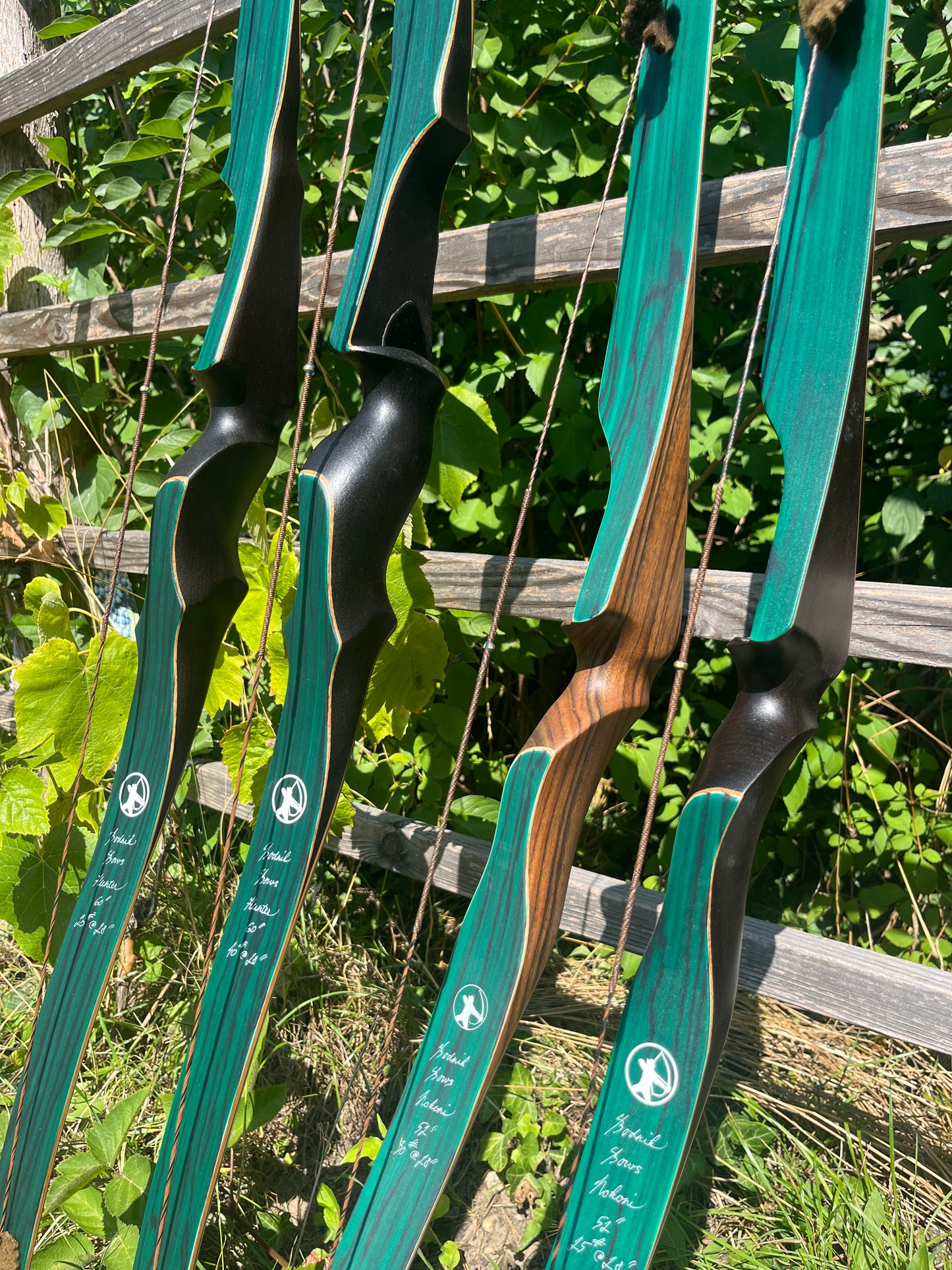 BODNIK BOWS HUNTER GREEN CUSTOM SERIES + Carbon Speed Limbs Recurve Bogen 60"