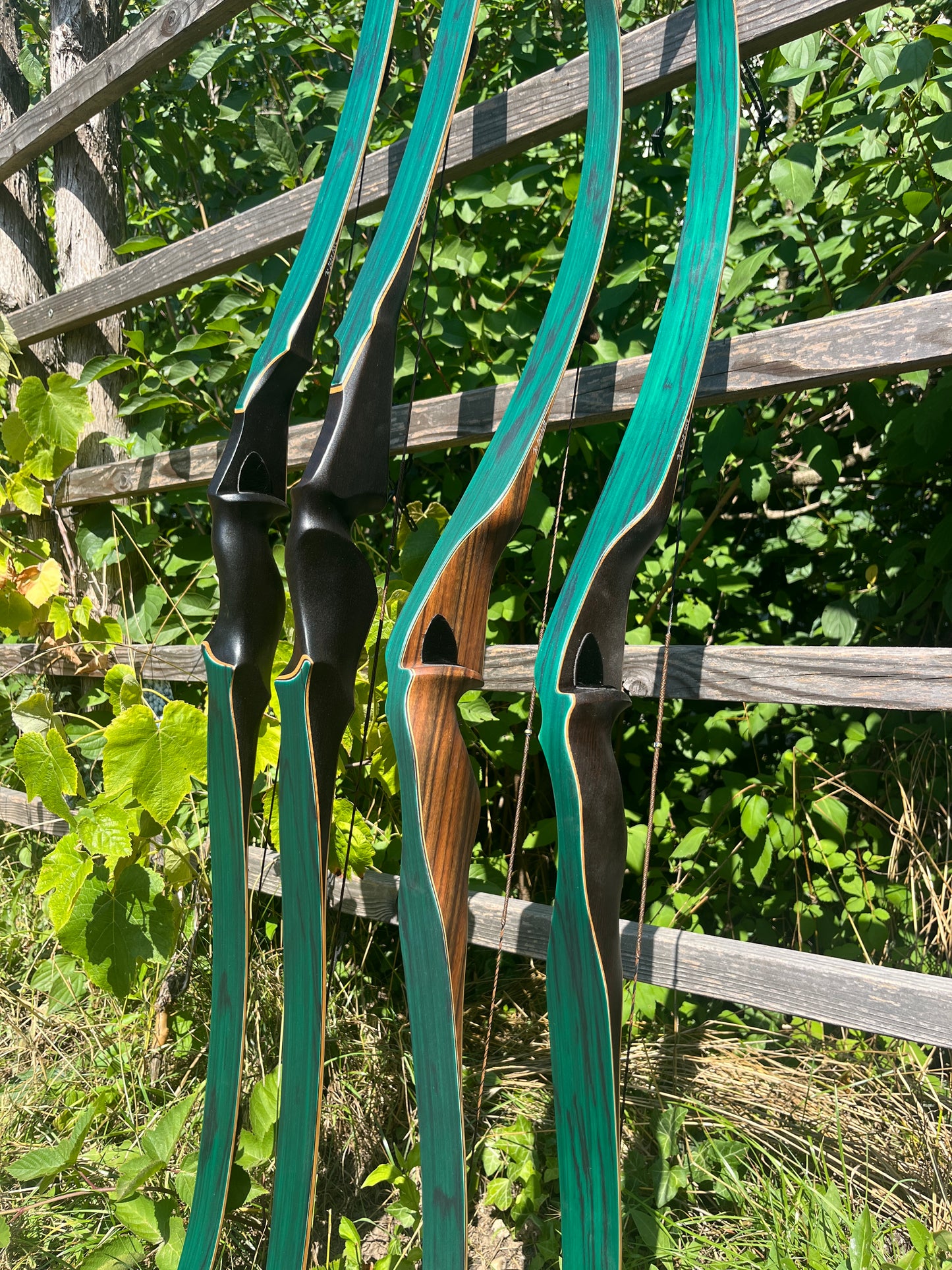 BODNIK BOWS HUNTER GREEN CUSTOM SERIES + Carbon Speed Limbs Recurve Bogen 60"