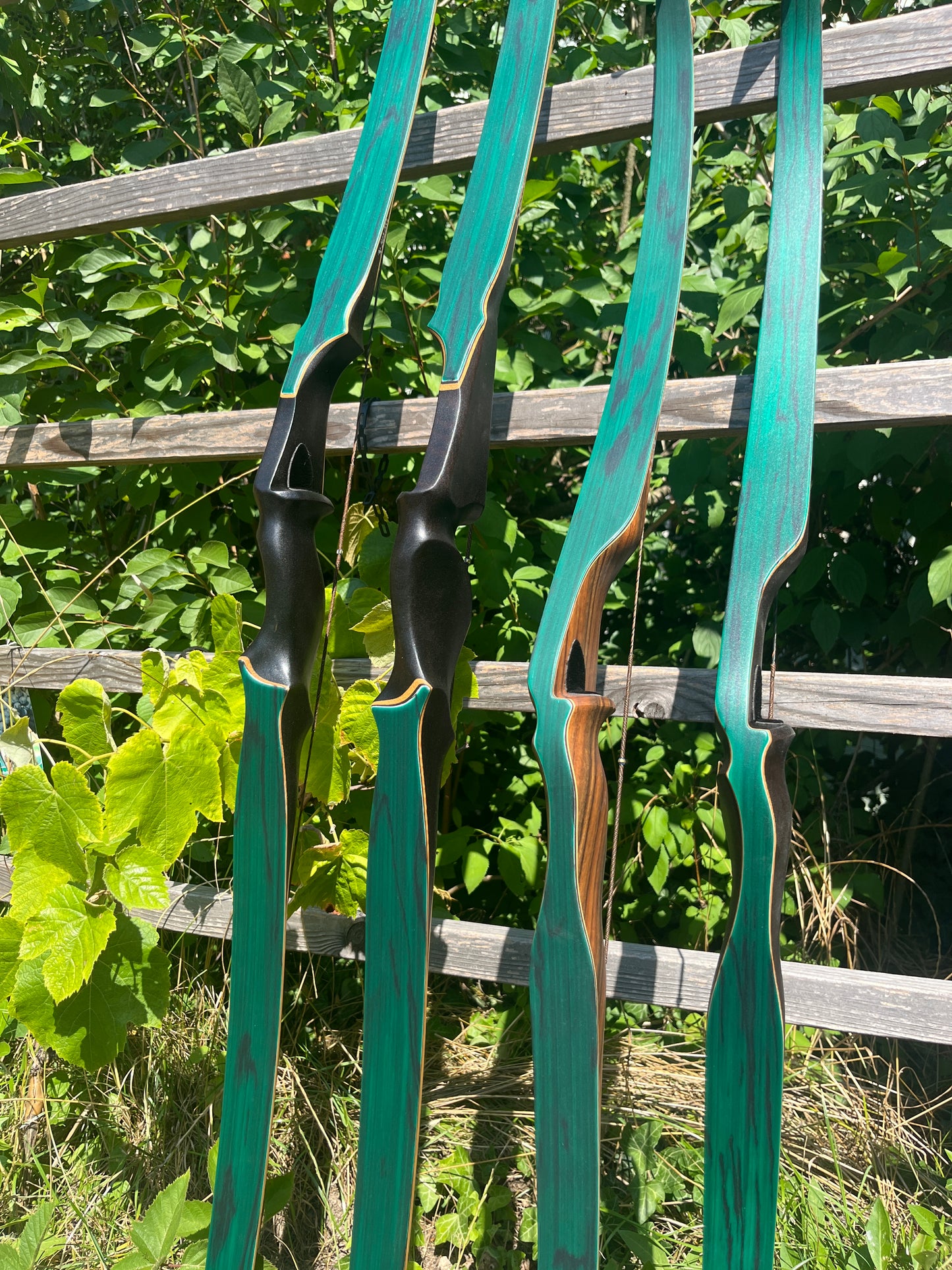 BODNIK BOWS HUNTER GREEN CUSTOM SERIES + Carbon Speed Limbs Recurve Bogen 60"