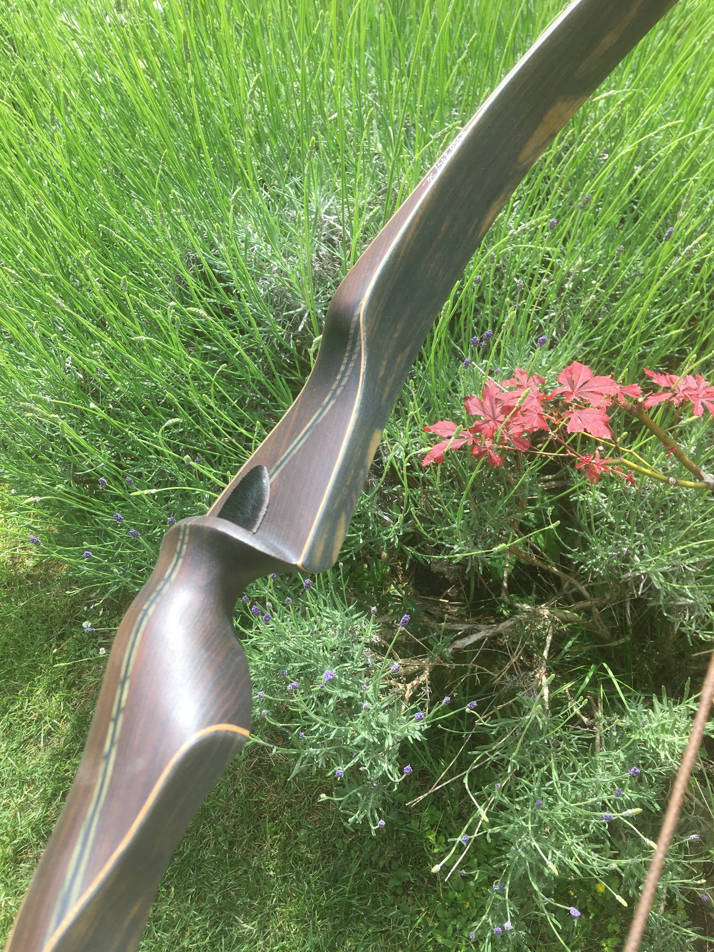 BODNIK BOWS KIOWA CHAMÄLEON CUSTOM Recurve Bogen 52"